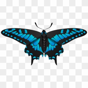 Clip Art, HD Png Download - moth wings png
