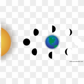 Moon Phases Png Around The Earth, Transparent Png - moon cycle png