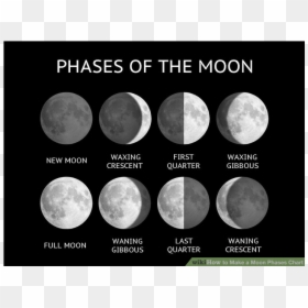 Phases Of The Moon, HD Png Download - moon cycle png