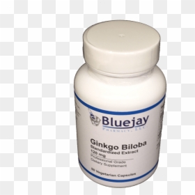 Ginkgo Png, Transparent Png - ginkgo png