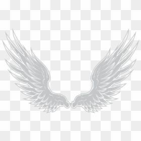 Justin Bieber Angel Wing, HD Png Download - alas vector png