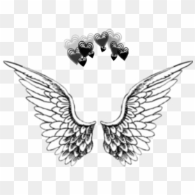 Transparent Wings Overlay, HD Png Download - alas vector png