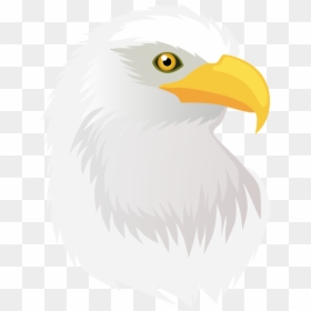 Bald Eagle, HD Png Download - eagle head vector png