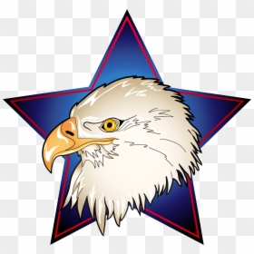 Eagle Star Logo Png, Transparent Png - eagle head vector png