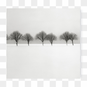 Monochrome, HD Png Download - winter scene png