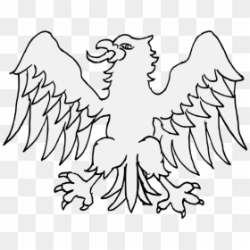 Eagle Head Vector Png, Transparent Png - eagle head vector png