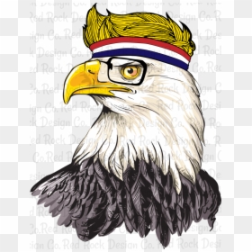 Bald Eagle Head Png, Transparent Png - eagle head vector png