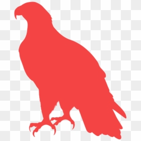 Aguila Americana Silueta, HD Png Download - eagle head vector png