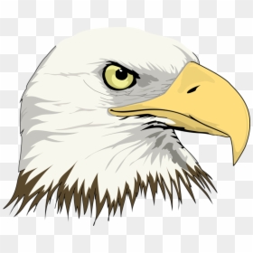 Cartoon Eagle Head Png, Transparent Png - eagle head vector png