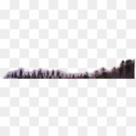 Red Pine, HD Png Download - winter scene png