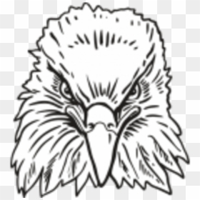 Eagle Head Front View Drawing, HD Png Download - eagle head vector png