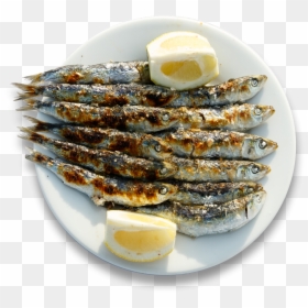 Anchovy (food), HD Png Download - sardines png