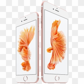 Iphone 6s Price In Malaysia Apple Store, HD Png Download - iphone 6s rose gold png