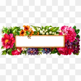 Flower Design With Frame, HD Png Download - antique frames png