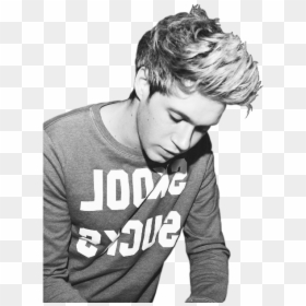 Niall Horan Png Black And White, Transparent Png - tumblr overlays png one direction