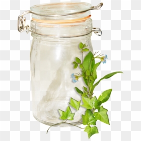 Flower, HD Png Download - mason jar .png