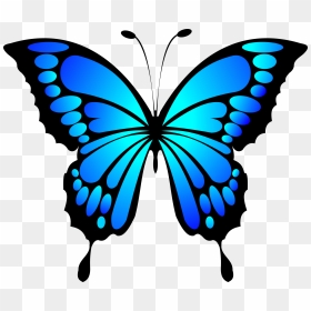 Blue Morpho Butterfly Clipart, HD Png Download - mariposa vector png