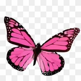 Mariposa Vector Png, Transparent Png - mariposa vector png