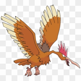 Pokemon Fearow, HD Png Download - fletchinder png