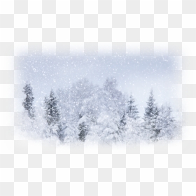 Snow Forest Facebook Cover, HD Png Download - snow png