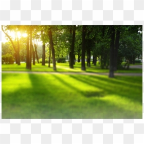 Nature Scenes In Keyshot, HD Png Download - grass png